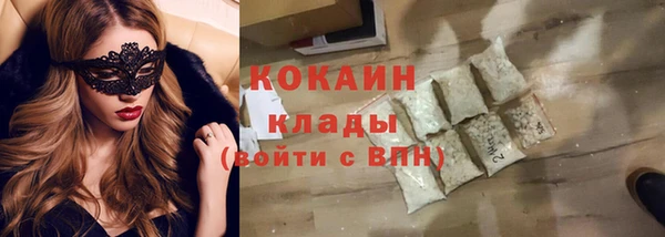 твердый Арсеньев