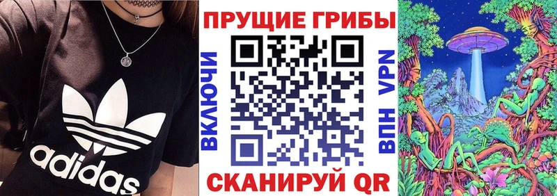 Галлюциногенные грибы Psilocybe  купить   Ростов 